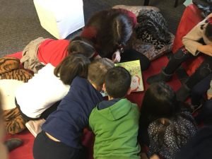 Book Club Activities